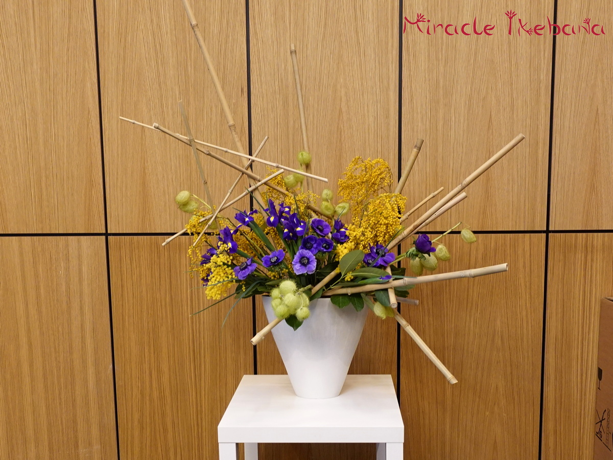 Откриване на новата административна сграда на Rolplast