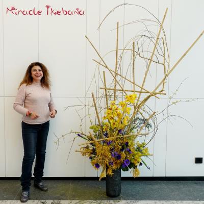 Miracle Ikebana Otkrivane Rolplast 4 2023