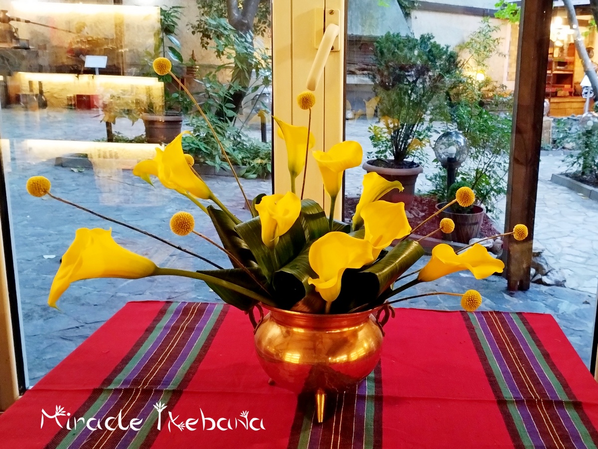 Музей на ракията