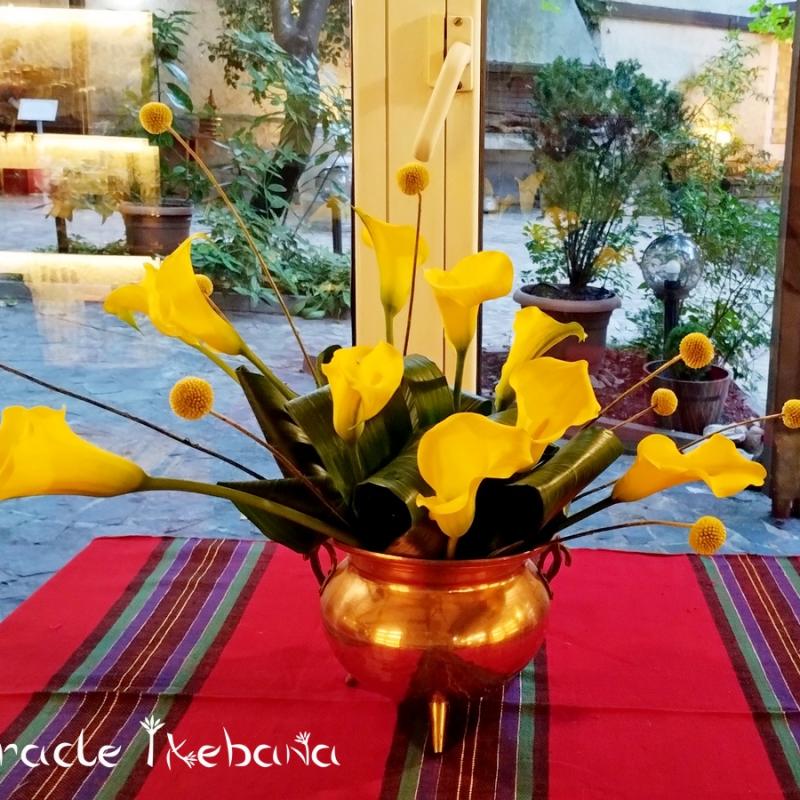 Miracle Ikebana Muzei Na Rakiqta 1