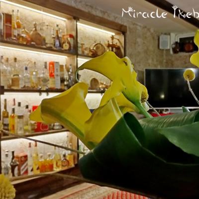 Miracle Ikebana Muzei Na Rakiqta 5