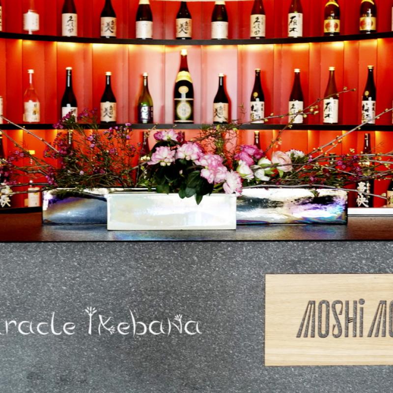 Miracle Ikebana Moshi Moshi Spring 1