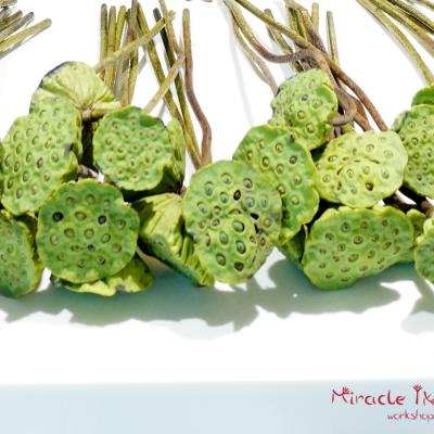 Miracle Ikebana Workshop Amusnet 01 A