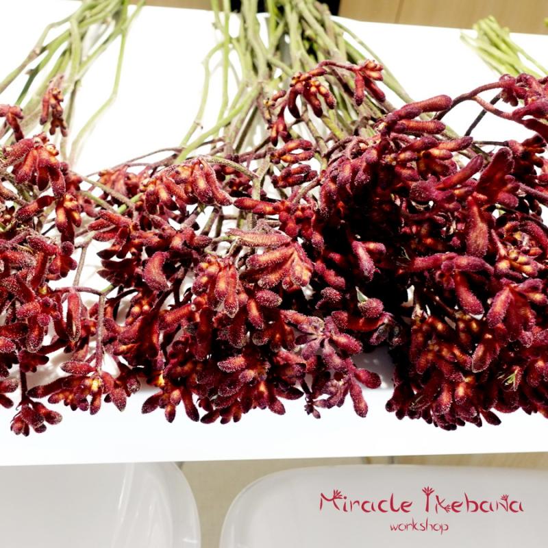 Miracle Ikebana Workshop Amusnet 01 C