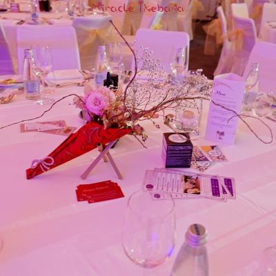 Miracle Ikebana Nagradi Zena Na Godinata 2023 Klub Visoki Tokceta 07